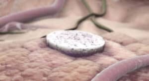 Harvard's Wyss Institute investiga método que reduz&nbsp;o crescimento tumoral