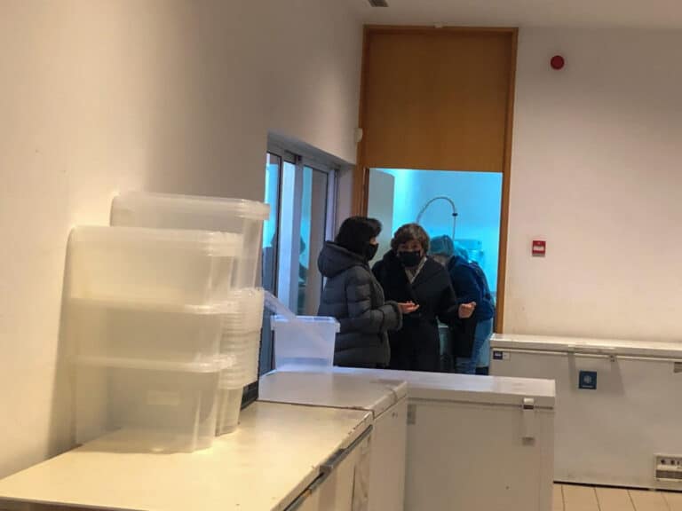 Ana Gomes. "Candidato-me pelos jovens, este país tem que ser para eles"