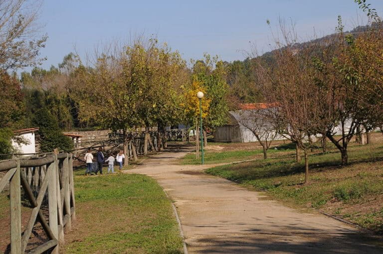 Altino Bessa destaca papel da Quinta Pedagógica no setor da educação ambiental