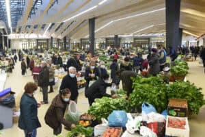 Chuva continua a entrar no mercado de Braga. Serviços estudam solução