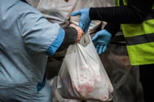 Ajuda alimentar é insuficiente e já há listas de espera