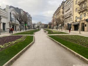 Abate de árvores. BE acusa Câmara de Braga de falta de prevenção