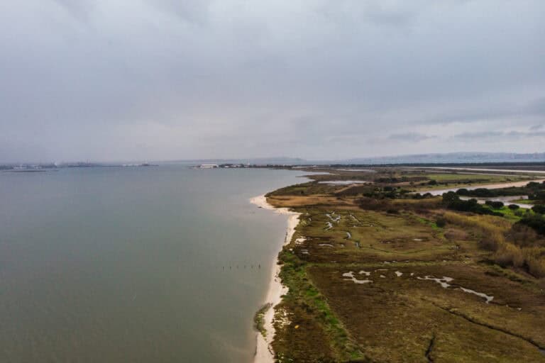 ANAC indefere pedido de apreciação prévia de viabilidade da construção do aeroporto no Montijo