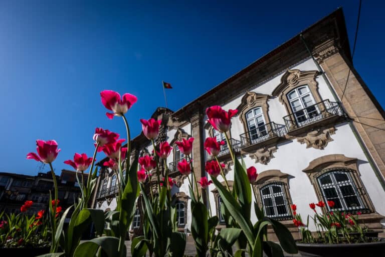 Concelho de Braga sem novos casos de covid-19 em 24 horas