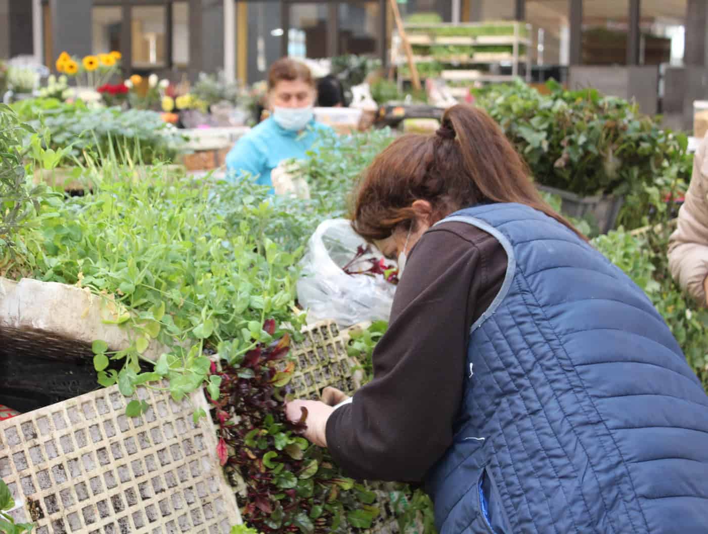 Setor primário. A raiz que alimenta a economia
