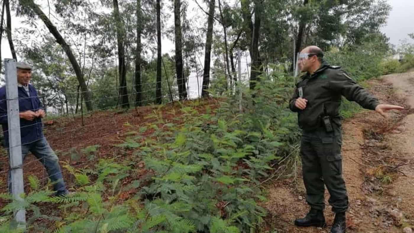 Governo prorroga prazo para limpeza de terrenos até 15 de maio