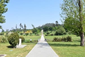 CM Famalicão vai plantar mais de 700 árvores no Parque da Devesa&nbsp;