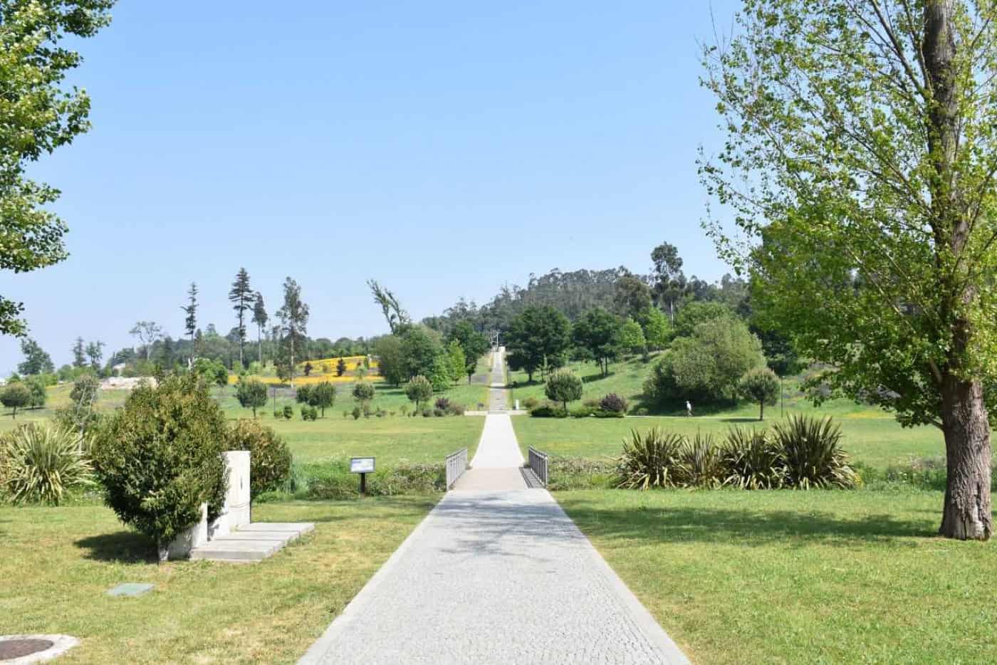 CM Famalicão vai plantar mais de 700 árvores no Parque da Devesa&nbsp;