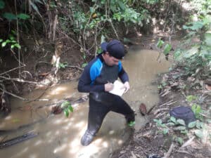Má gestão de habitats artificiais ameaça espécies de água doce de todo o mundo