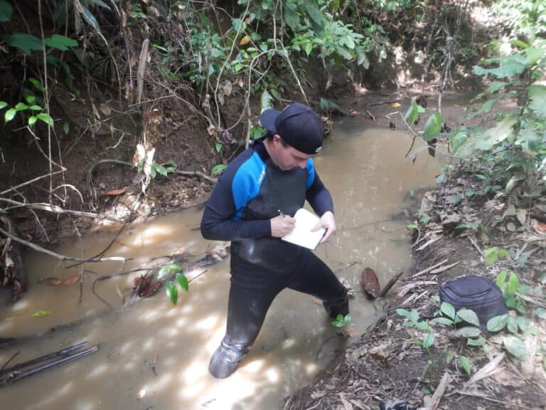 Má gestão de habitats artificiais ameaça espécies de água doce de todo o mundo