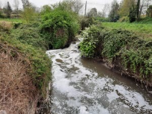 PAN questiona CMB sobre futuro da ETAR de Frossos