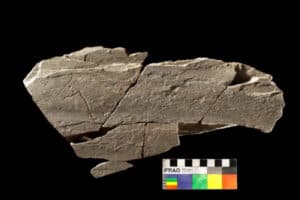 UMinho responsável por 1ª plataforma nacional de arte rupestre de acesso livre