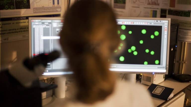 Portugal contabiliza mais de 200 casos de Leucemia Mieloide Aguda por ano