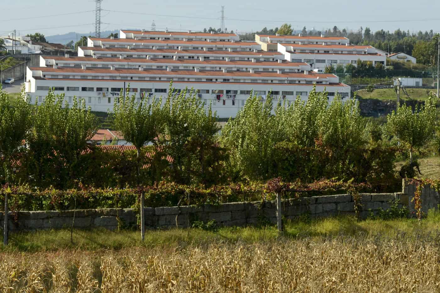 CMG investe 3ME na reabilitação energética de habitações sociais