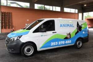 Sapadores de Braga realizaram 246 ações de socorro animal em 2020