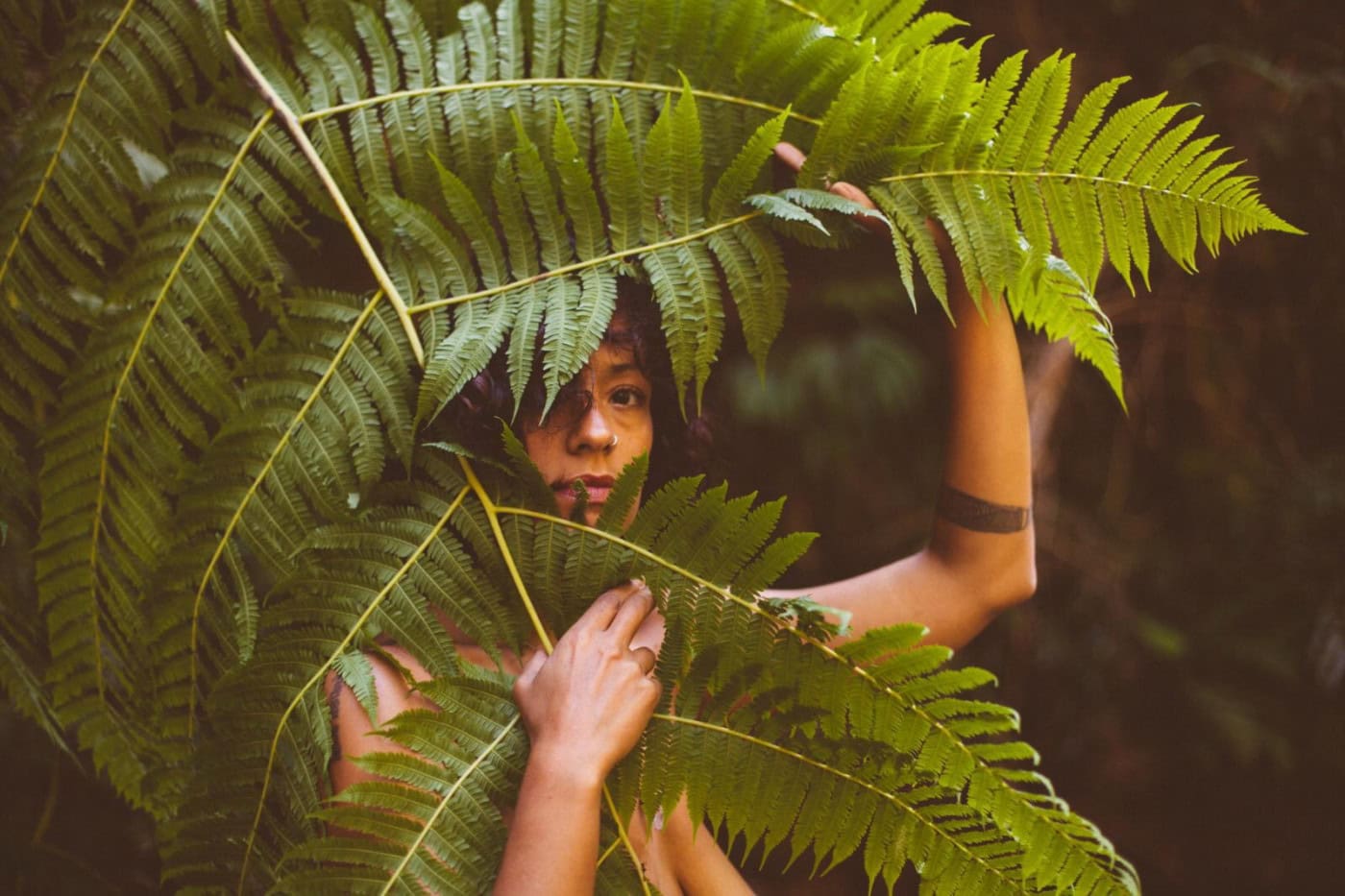 Ciclo Terra apresenta programação dedicada à cultura brasileira