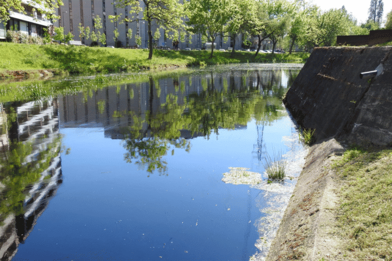 Descargas no Rio Este chegam à Comissão Europeia através do Bloco