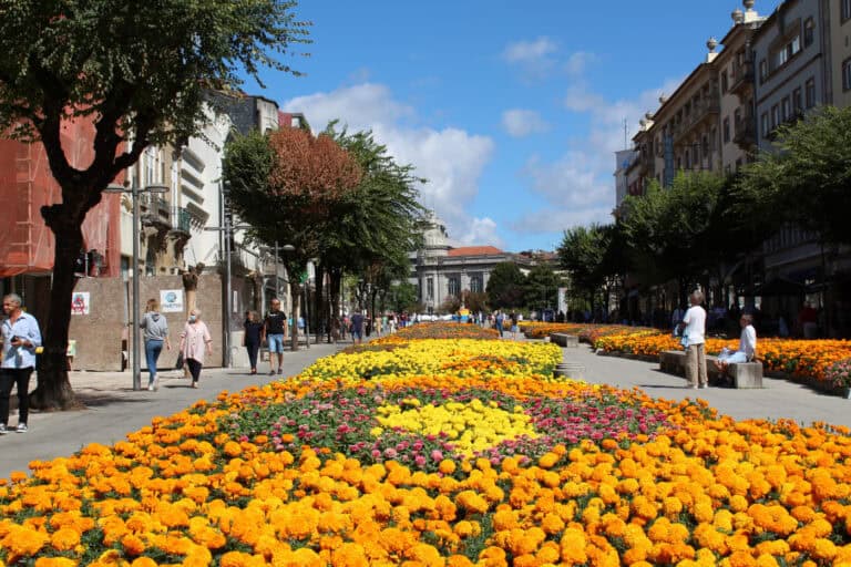 Braga pode entrar em estado de alerta devido ao aumento de casos de Covid-19