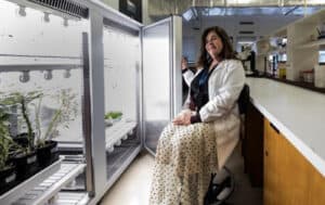 CBMA cria soluções biosustentáveis para setor agroalimentar&nbsp;