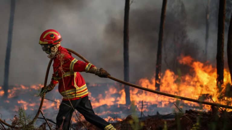 Dispositivo de combate a incêndios é hoje reforçado com mais operacionais