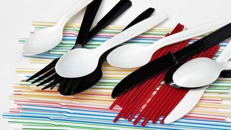 Plásticos de utilização única proibidos a partir de hoje&nbsp;