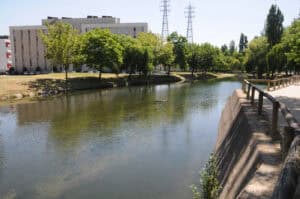 Bessa diz que alegada descarga no Rio Este é afinal uma "mobilização de terras"