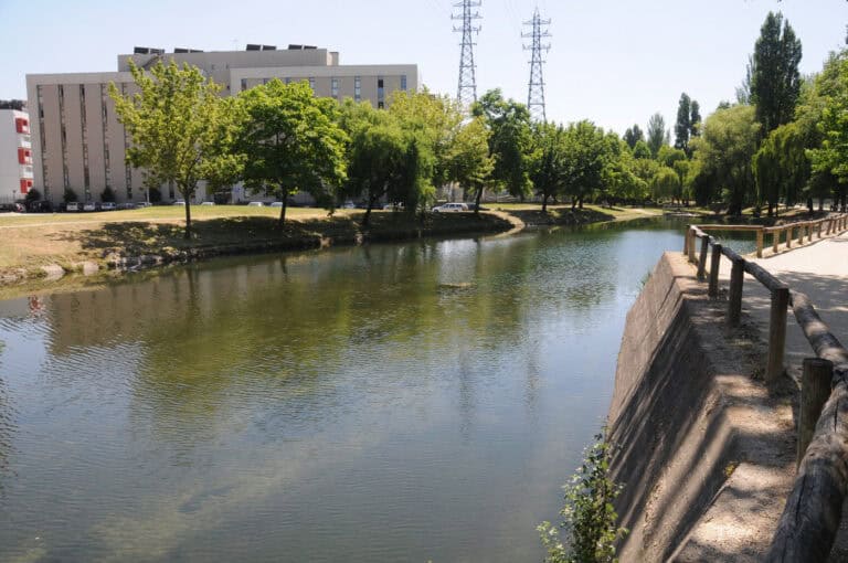 Bessa diz que alegada descarga no Rio Este é afinal uma "mobilização de terras"