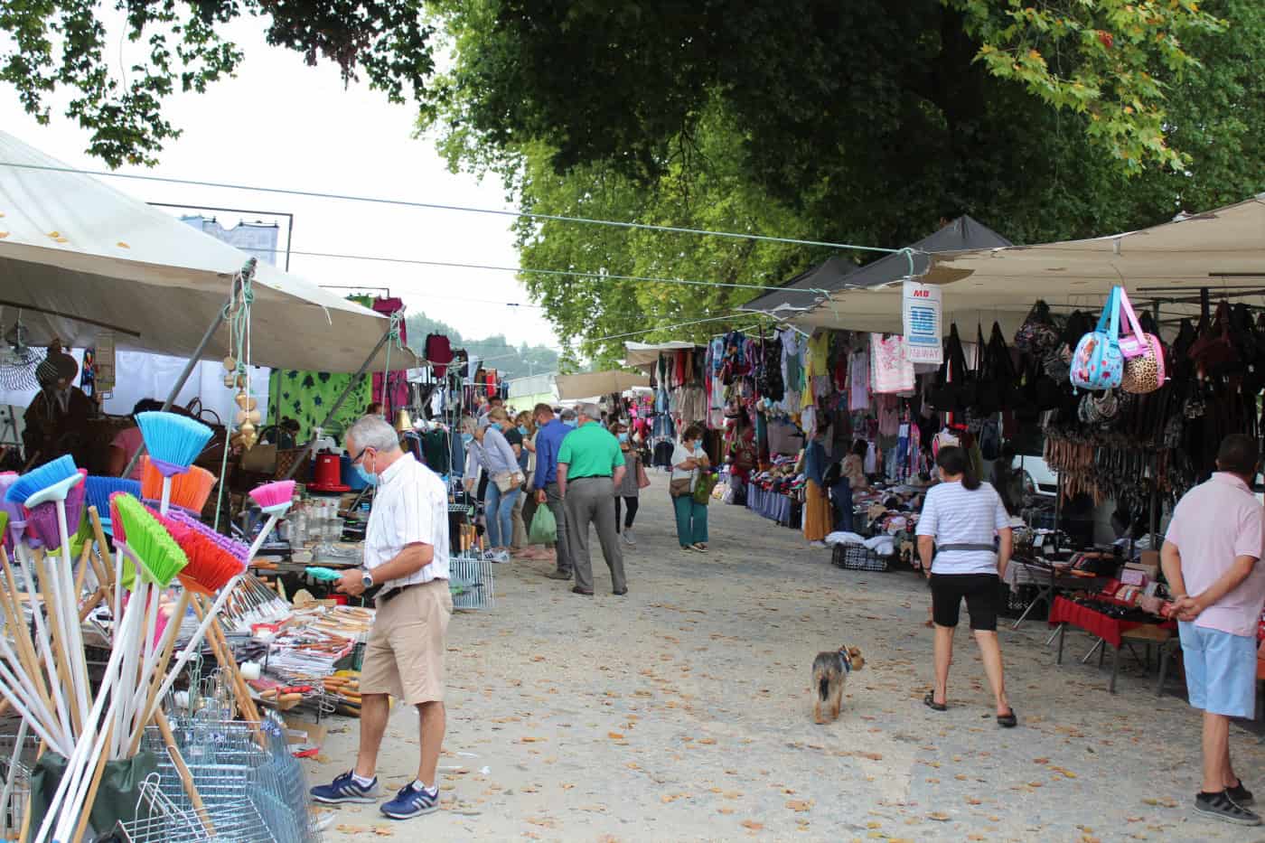 Sanitários encerrados e "falta de organização" preocupam feirantes em Braga