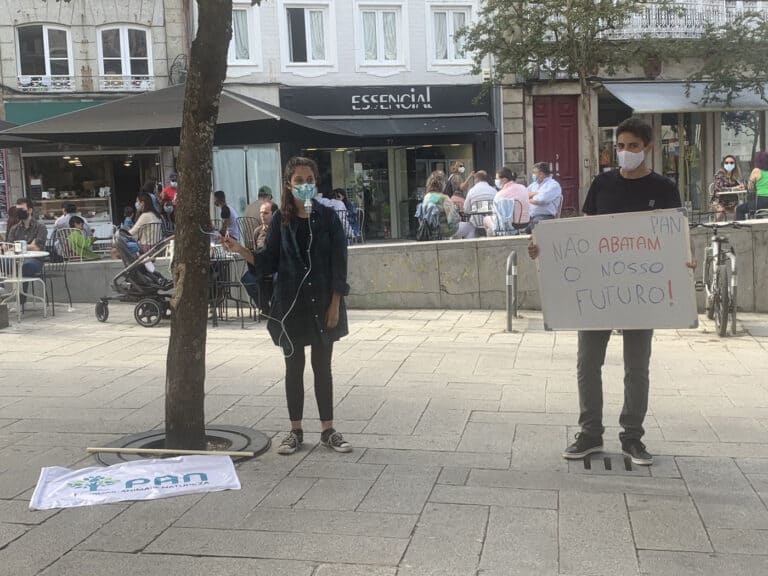 PAN de Braga quer Regulamento do Arvoredo Urbano