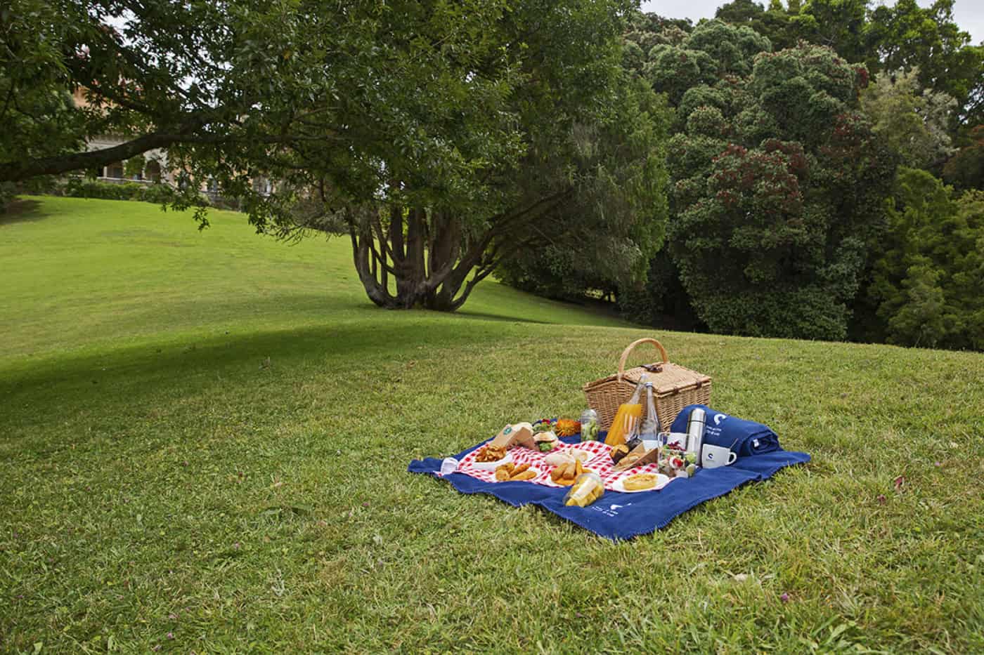 Planetário promove piquenique no jardim para potenciar promoção do ambiente