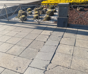 Braga Para Todos volta a alertar para degradação do pavimento na Praça da República