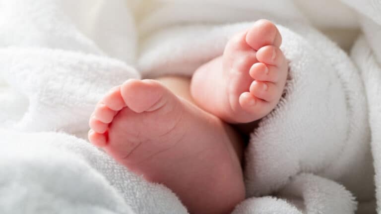 Pandemia reduziu natalidade, especialmente em Portugal, Espanha e Itália