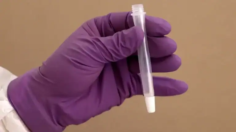 Delta é a única variante em circulação em Portugal