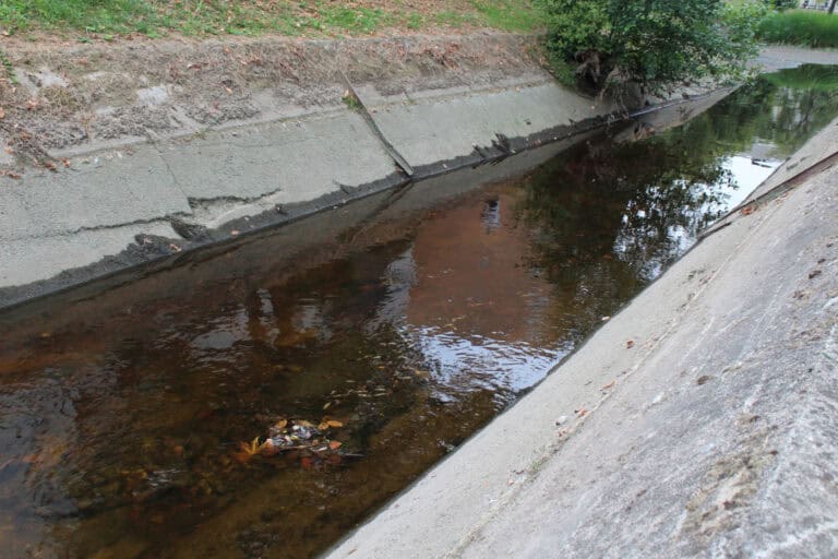 “É uma das piores descargas no Rio Este dos últimos oito anos, se não a pior”