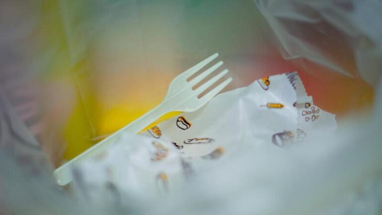 Venda de cotonetes, palhinhas, pratos e talheres de plástico proibida a partir de novembro