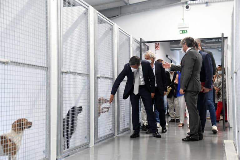 Canil de Famalicão. Cerca de 30 animais adotados por mês