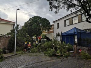 Chuva intensa provoca inundações e queda de árvores em Braga