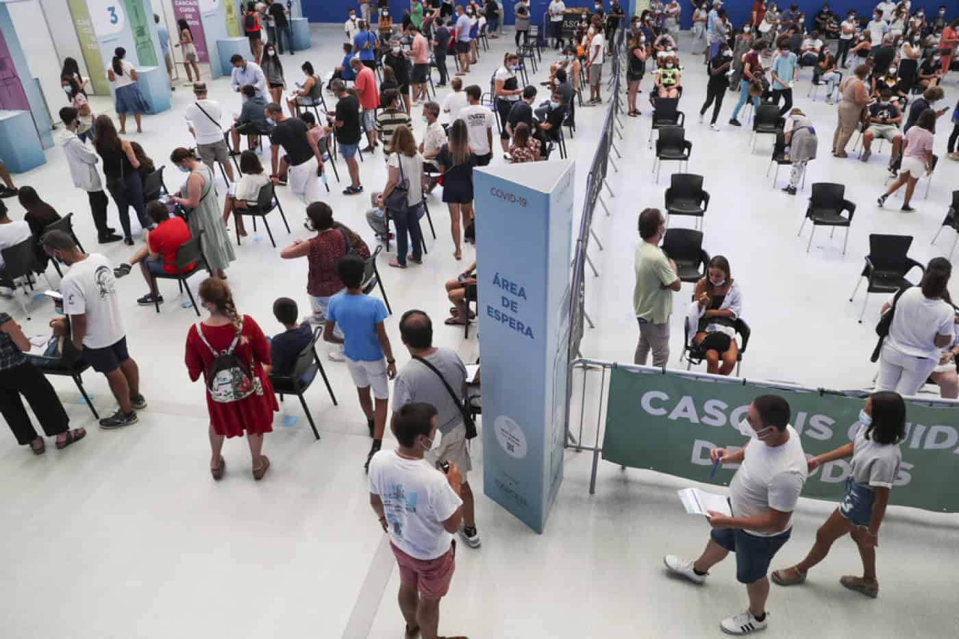 DGS pondera fim dos boletins diários sobre números da covid-19