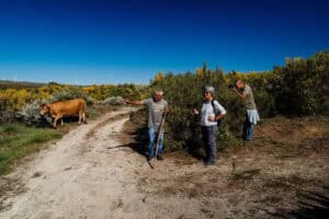 Alumni fazem "do país a sua casa" e lançam portal para divulgar aldeias do interior