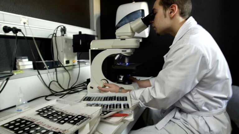 FCT poderá exigir devolução de verbas a bolseiros que se candidataram há dez anos, diz ABIC