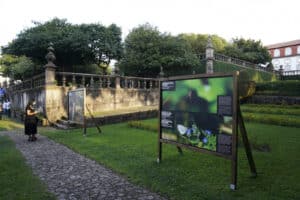 Guimarães. Candidaturas ao IMPACTA terminam esta quinta-feira