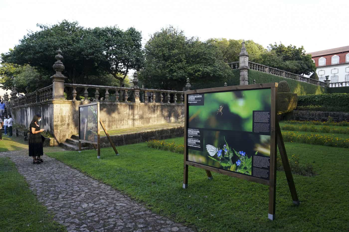 Guimarães. Candidaturas ao IMPACTA terminam esta quinta-feira