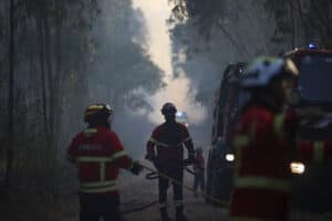 Época mais crítica de incêndios termina com menor número de fogos da última década&nbsp;