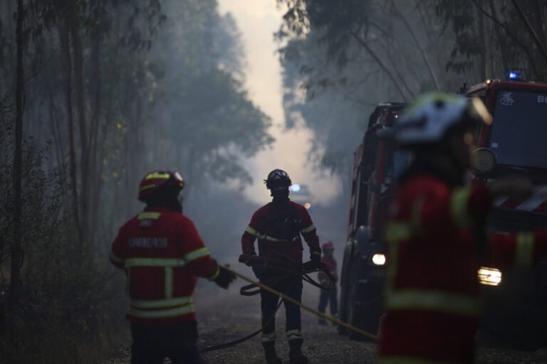 Época mais crítica de incêndios termina com menor número de fogos da última década