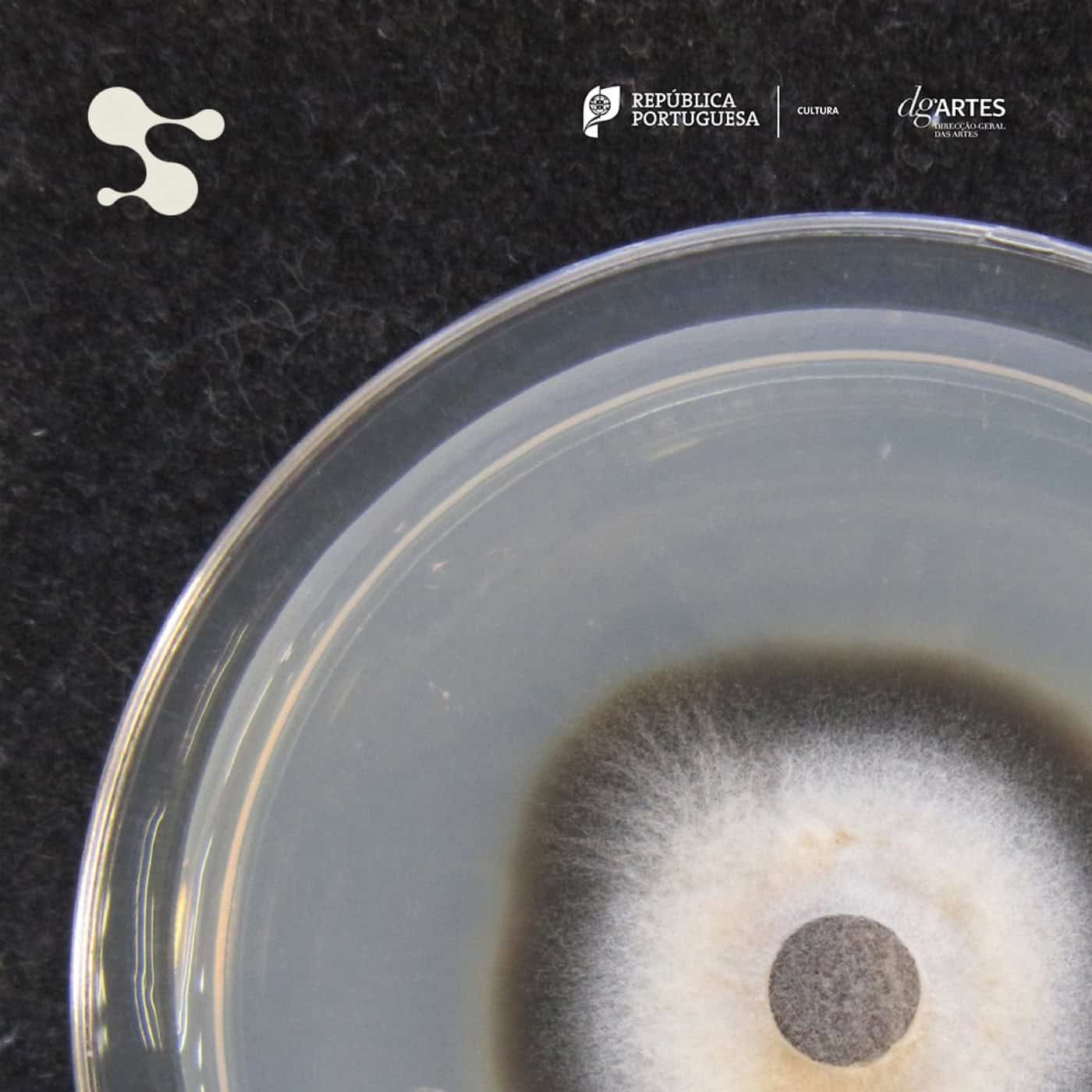 Investigadora da Universidade do Minho inspira performance apresentada em Barcelos