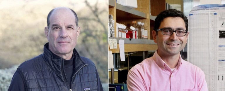 Nobel da Medicina atribuído a cientistas que descobriram recetores da temperatura e do toque