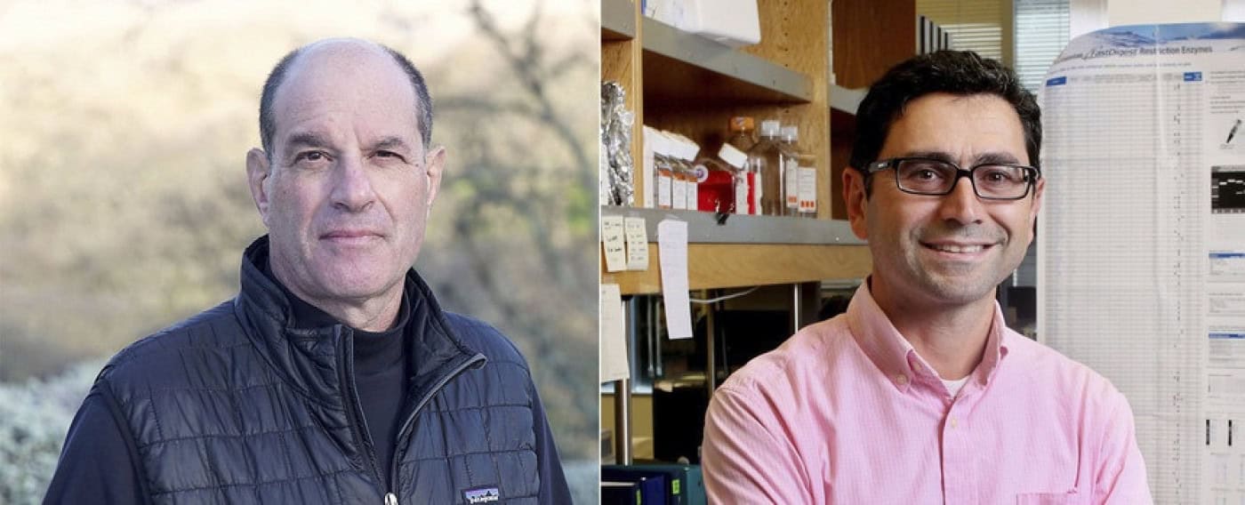 Nobel da Medicina atribuído a cientistas que descobriram recetores da temperatura e do toque