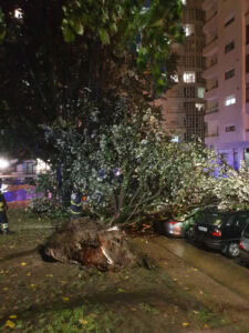 Proteção Civil regista 2.097 ocorrências em todo país desde quinta-feira