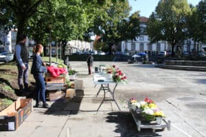 Crise nos combustíveis inflaciona preços das flores mas vendas aumentam