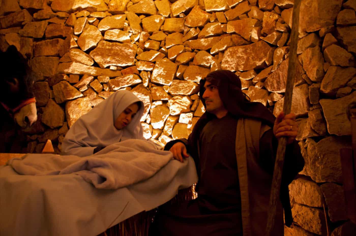 “Este ano, a visita ao Presépio Vivo de Priscos poderá ter mais qualidade”